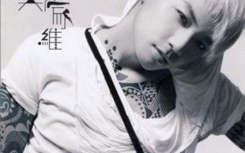 郑家维歌曲:她的眼泪歌词