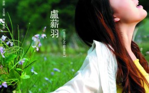 卢薪羽歌曲:海歌词