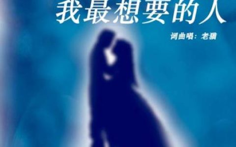 老猫歌曲:你就是我最想要的人歌词