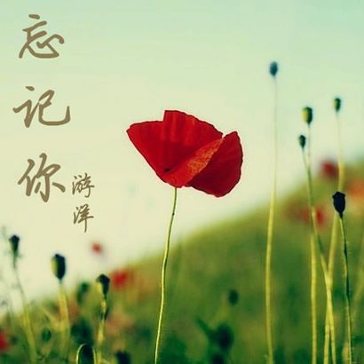 游洋歌曲:忘记你歌词