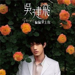 吴建飞歌曲:让你飞歌词