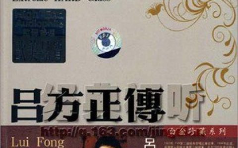 吕方歌曲:只因我太痴歌词