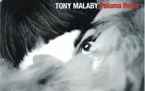 Tony Malaby歌曲:Boludos歌词