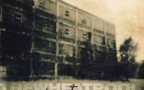 The Wheat Pool歌曲:One Of These Nights歌词