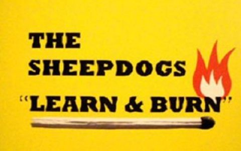 The Sheepdogs歌曲:i. Suddenly歌词
