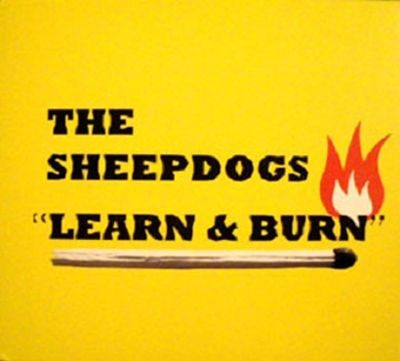 The Sheepdogs歌曲:i. Suddenly歌词