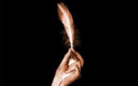 The Quails歌曲:Transmit, Evade, Escape歌词