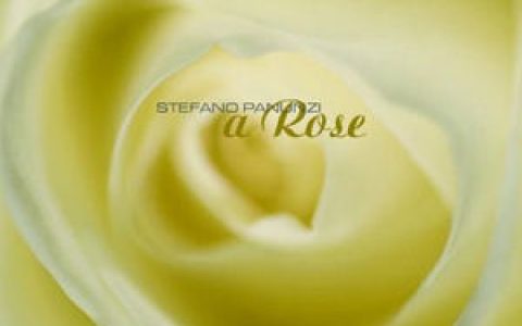 Stefano Panunzi歌曲:Child Of Your Time歌词