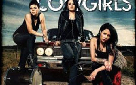 Stalingrad Cowgirls歌曲:Fool歌词