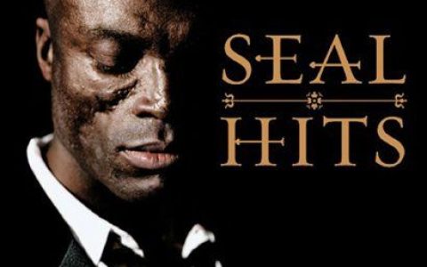 Seal歌曲:I Am Your Man歌词
