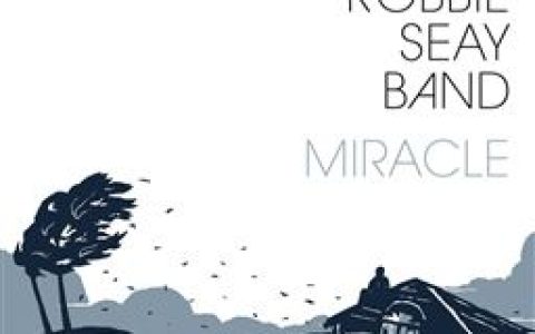Robbie Seay Band歌曲:Song Of Hope (Heaven Come Down) (Acoustic)歌词