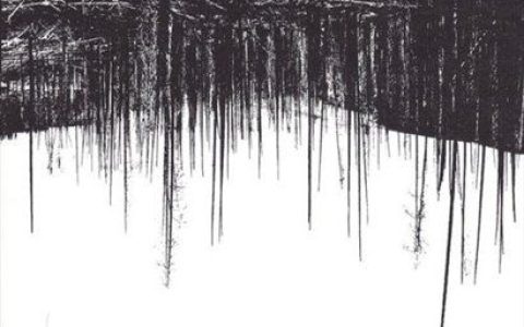 Raised By Swans歌曲:By an Ion歌词