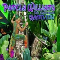 Pamela Williams歌曲:Camouflage歌词