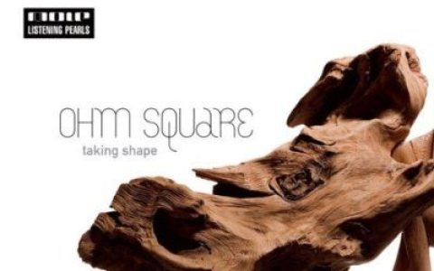 Ohm Square歌曲:Acid Sparrows歌词