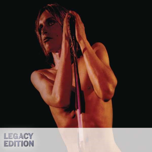 Iggy & The Stooges歌曲:Introduction (Live At Richards, Atlanta, GA: Octob歌词