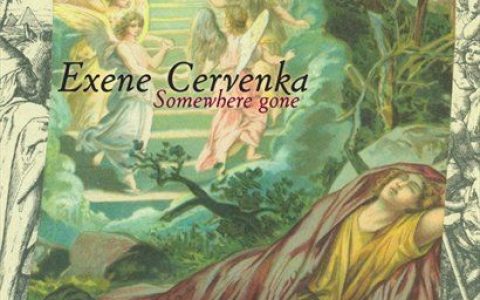 Exene Cervenka歌曲:Insane Thing歌词