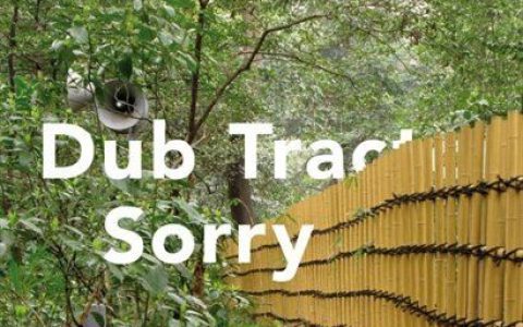 Dub Tractor歌曲:That Won t Heal By Itself歌词