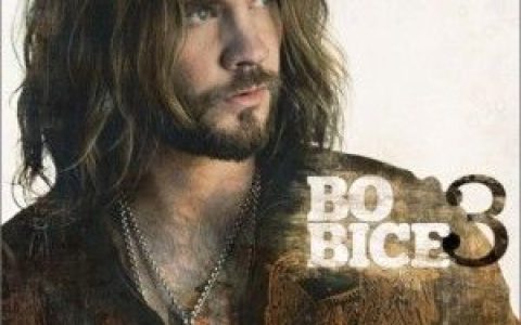 Bo Bice歌曲:Wild Roses歌词