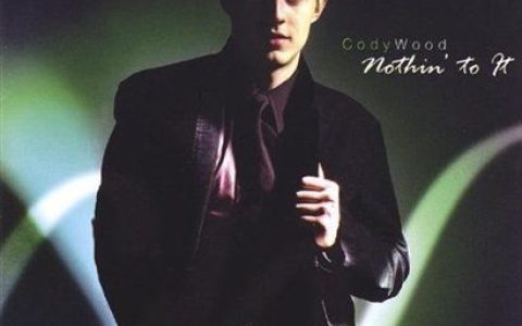 Cody Wood歌曲:Bad Boy歌词