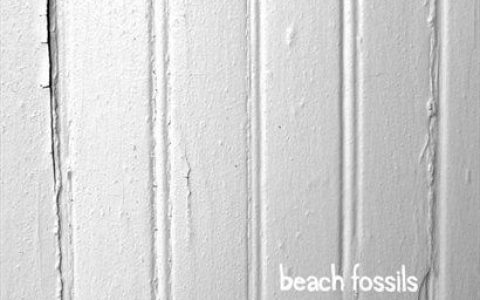 Beach Fossils歌曲:Daydream歌词