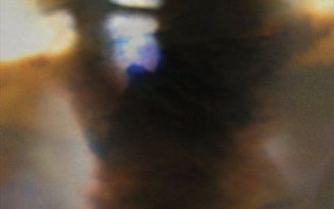 Animal Collective歌曲:What Would I Want? Sky歌词