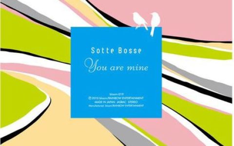 Sotte Bosse歌曲:白いカイト歌词