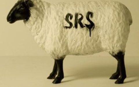 S.R.S歌曲:She is coming home歌词