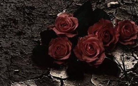 Phantasmagoria歌曲:Cry...歌词