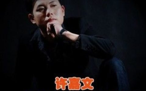 许嘉文歌曲:最爱你的男人歌词