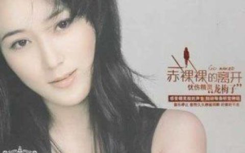 龙梅子歌曲:缘来是你歌词