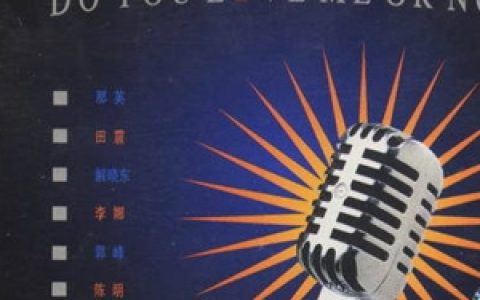 解晓东歌曲:中国娃歌词