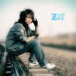 郑毅歌曲:残花谢歌词