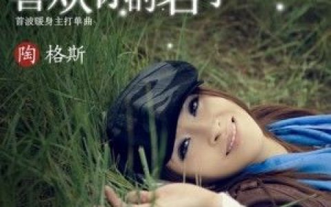 陶格斯歌曲:喜欢你的名字歌词