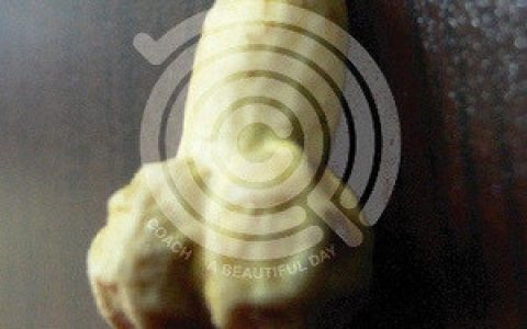 教练乐团歌曲:另一个天堂歌词