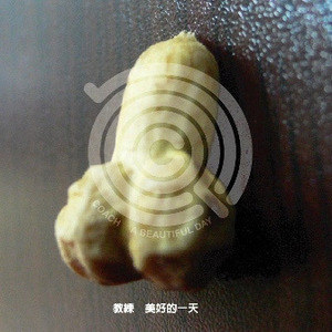 教练乐团歌曲:仙人掌歌词