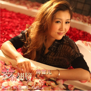 蒋雪儿歌曲:梦的翅膀受了伤歌词