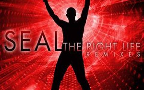 Seal歌曲:The Right Life歌词