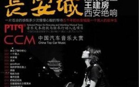 王建房歌曲:泪蛋蛋抛在沙蒿蒿林歌词