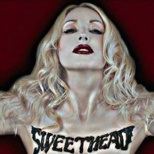 Sweethead歌曲:The Great Disruptors歌词