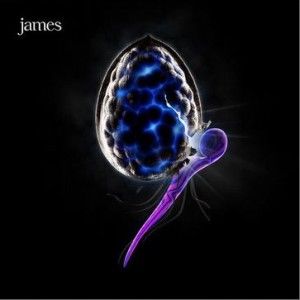James歌曲:Porcupine歌词