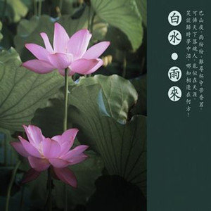 白水歌曲:花台寺记歌词