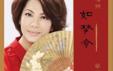 蔡琴歌曲:如梦令 (伴奏)歌词
