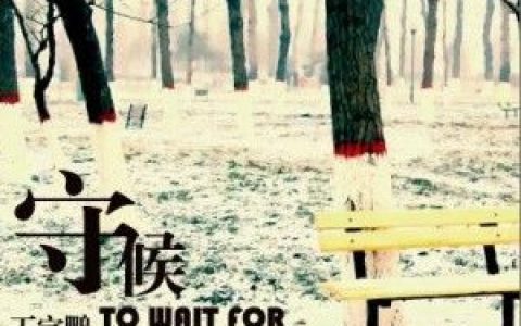 王宇鹏歌曲:泪光歌词