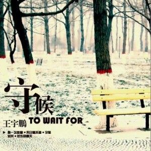 王宇鹏歌曲:泪光歌词