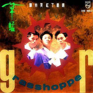 草蜢歌曲:让你哭红了眼睛歌词