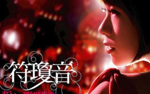 符琼音歌曲:酒干倘卖无 (原唱：苏芮)歌词