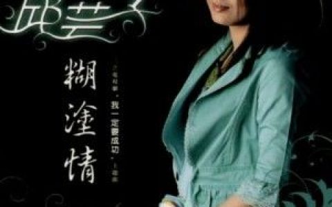 邱芸子歌曲:痴情不路用歌词
