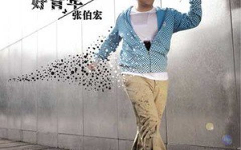 张伯宏歌曲:胜利歌词