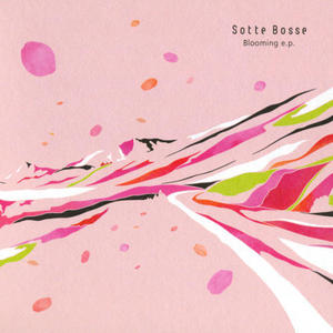 Sotte Bosse歌曲:瞳カメラ歌词