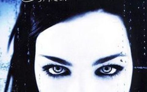 Evanescence歌曲:Going Under歌词